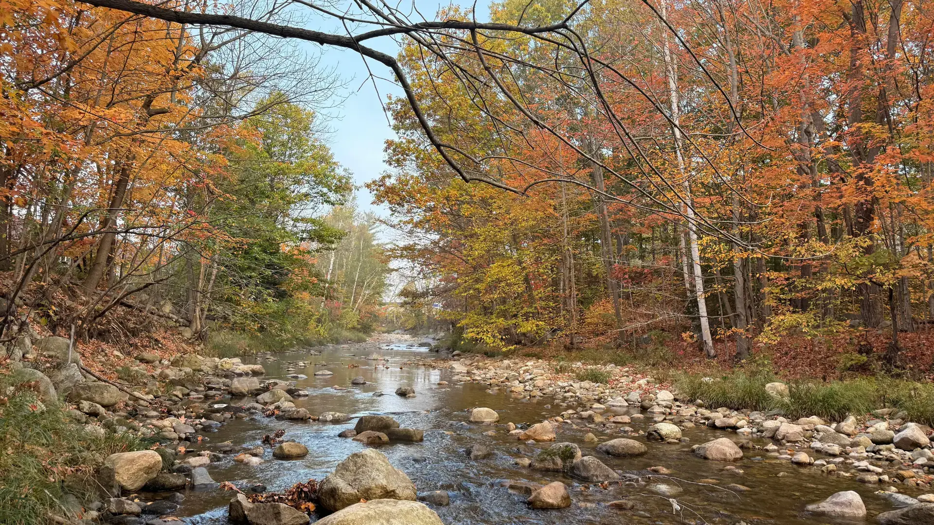 WAKEFIELD by Margot Skelley